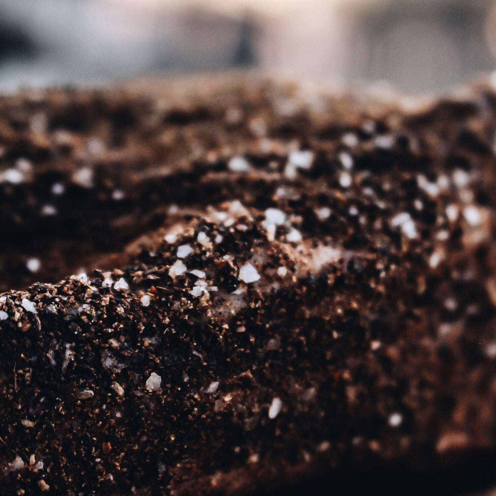 Black Gold - Coffee Dry Rub | Dead Rooster Co.